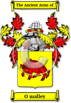 O malley Family Crest Download (jpg) Legacy Series - 150 DPI